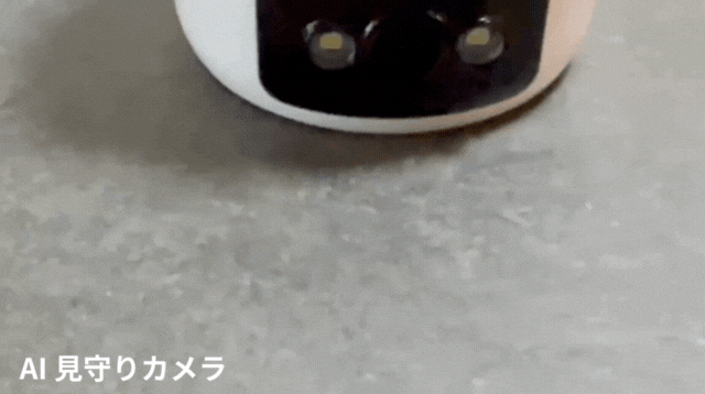 AI多機能見守りカメラ動画説明