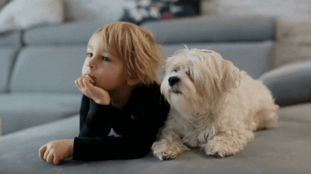 子供と犬がお留守番している様子