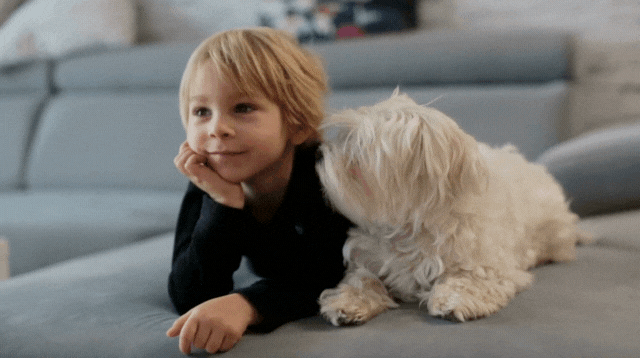 子供と犬が遊んでいる様子