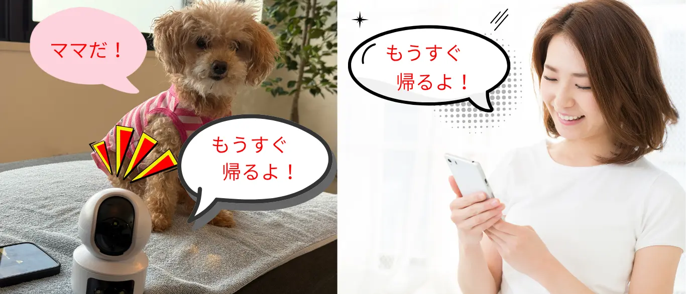 AI見守りカメラの双方向音声機能イメージ。スマホからペットに声をかけて外出先でも様子を確認できる
