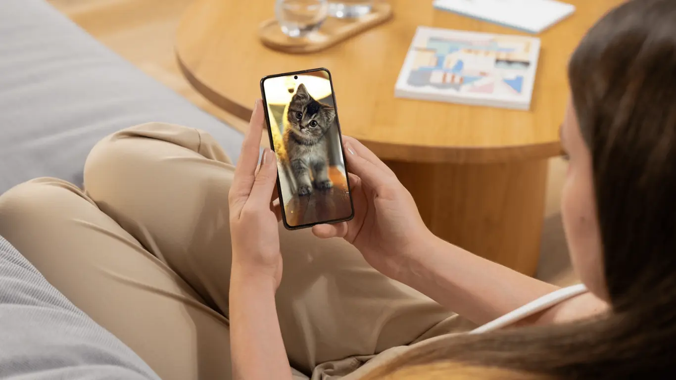 外出先からスマホで猫の映像を見る様子