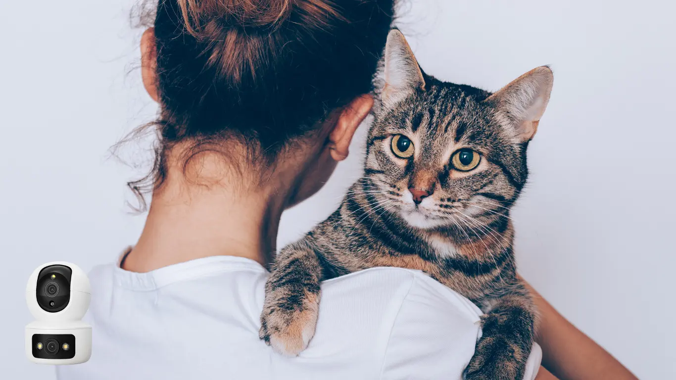 猫と飼い主が映っている様子