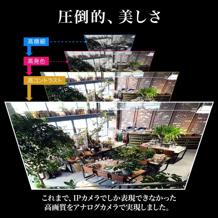 圧倒的、美しさ