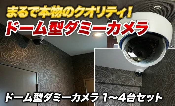 ダミーカメラタイトル