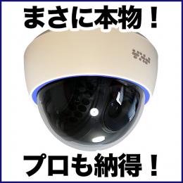 本物のケースを利用した屋内ドーム型ダミーカメラ　DAM001-1
