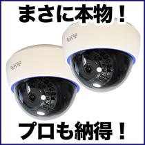 本物のケースを利用した屋内ドーム型ダミーカメラ　2台セット　DAM001-2