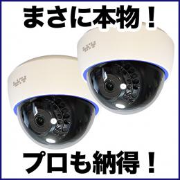 本物のケースを利用した屋内ドーム型ダミーカメラ　2台セット　DAM001-2