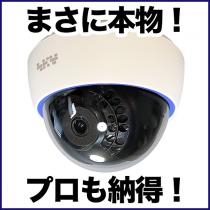 本物のケースを利用した屋内ドーム型ダミーカメラ　DAM001-1