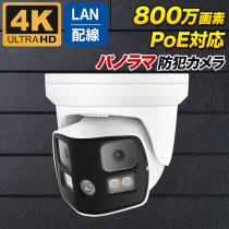 PoE対応 800万画素 双方向音声対応 水平180度撮影パノラマカメラ PO-800D-PANO