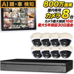 4K 800万画素 ドーム型カメラ8台セット　SET-16800-8-16TB