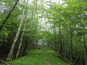 10312524_504446786350409_3208480040709708748_n